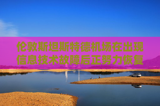 倫敦斯坦斯特德機場在出現(xiàn)信息技術故障后正努力恢復運營