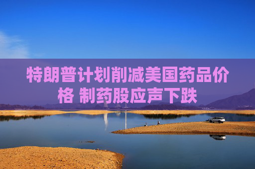 特朗普計(jì)劃削減美國(guó)藥品價(jià)格 制藥股應(yīng)聲下跌