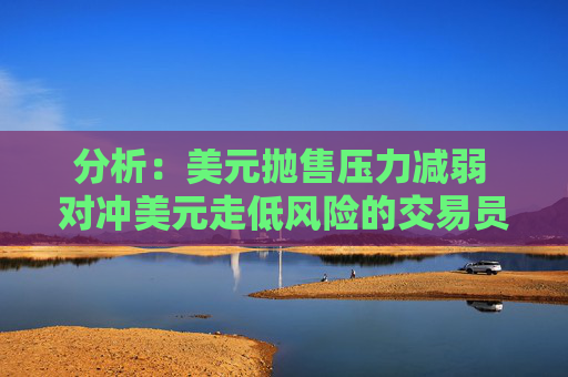 分析：美元拋售壓力減弱 對沖美元走低風險的交易員并不多
