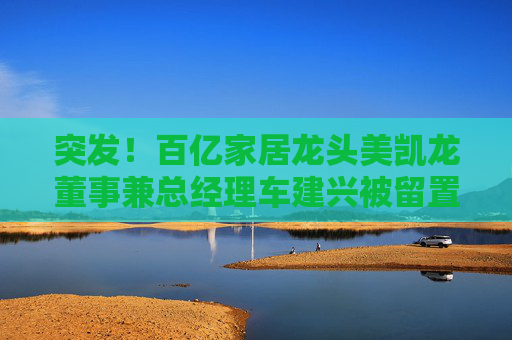 突發(fā)！百億家居龍頭美凱龍董事兼總經(jīng)理車建興被留置
