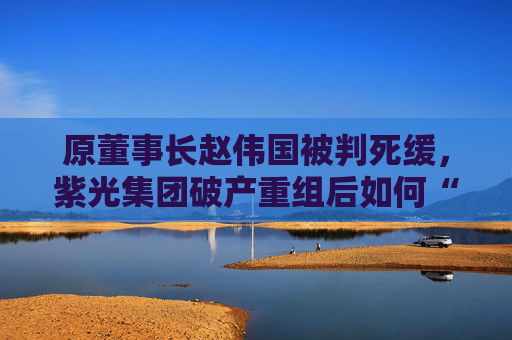 原董事長趙偉國被判死緩，紫光集團破產(chǎn)重組后如何“求生”？