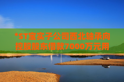 *ST寶實(shí)子公司西北軸承向控股股東借款7000萬元用于項(xiàng)目建設(shè)