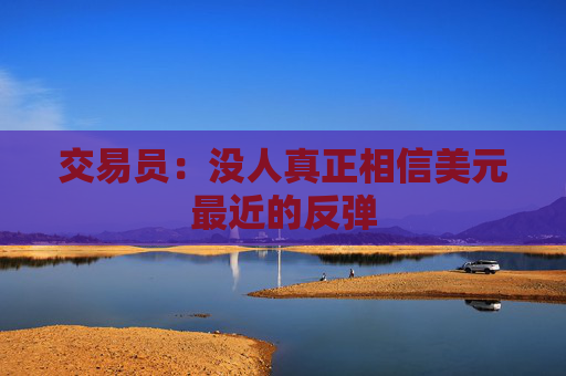 交易員：沒人真正相信美元最近的反彈