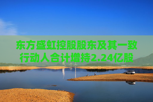 東方盛虹控股股東及其一致行動人合計(jì)增持2.24億股