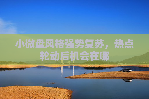 小微盤風格強勢復蘇，熱點輪動后機會在哪