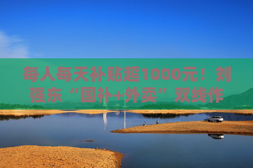 每人每天補(bǔ)貼超1000元！劉強(qiáng)東“國補(bǔ)+外賣”雙線作戰(zhàn)，“618”打響即時零售“三國殺”