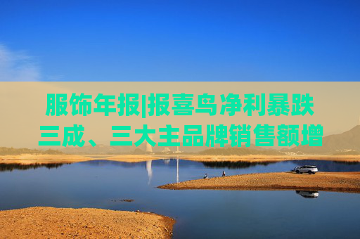 服飾年報|報喜鳥凈利暴跌三成、三大主品牌銷售額增長乏力 戰(zhàn)略擴張與財務(wù)承壓的雙重困局