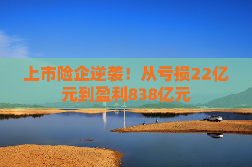 上市險(xiǎn)企逆襲！從虧損22億元到盈利838億元