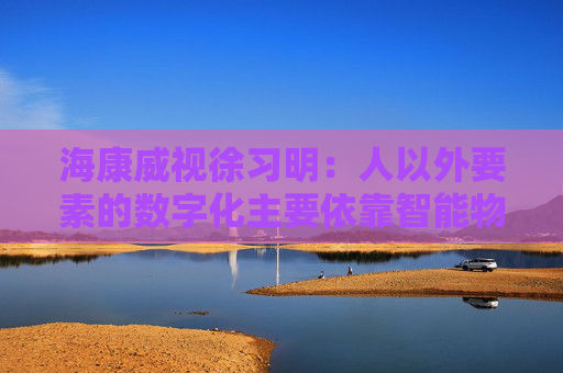 海康威視徐習(xí)明：人以外要素的數(shù)字化主要依靠智能物聯(lián)網(wǎng)，其中機(jī)遇眾多