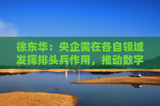 徐東華：央企需在各自領(lǐng)域發(fā)揮排頭兵作用，推動(dòng)數(shù)字化轉(zhuǎn)型