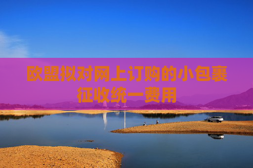 歐盟擬對網(wǎng)上訂購的小包裹征收統(tǒng)一費(fèi)用