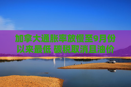 加拿大通脹率放慢至9月份以來最低 碳稅取消且油價下跌