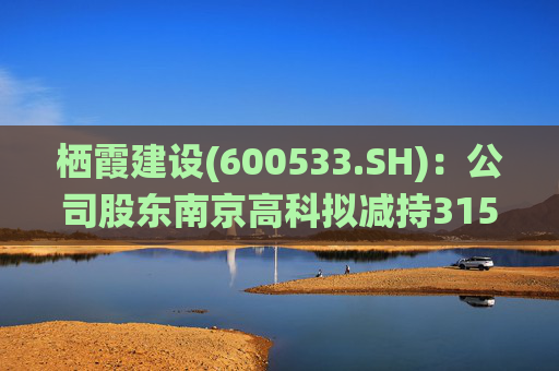 棲霞建設(600533.SH)：公司股東南京高科擬減持3150萬股，占公司總股本3%