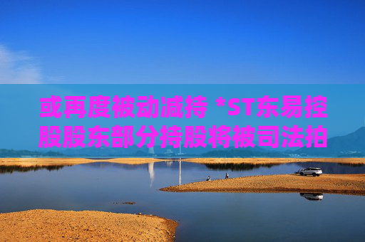 或再度被動(dòng)減持 *ST東易控股股東部分持股將被司法拍賣