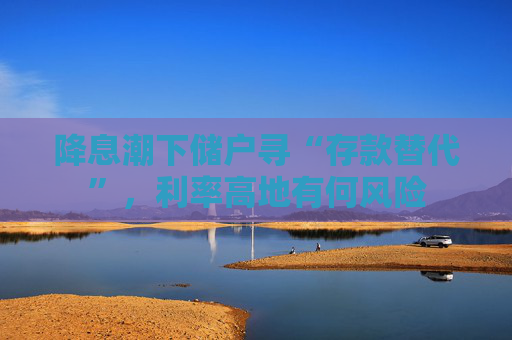 降息潮下儲(chǔ)戶尋“存款替代”，利率高地有何風(fēng)險(xiǎn)