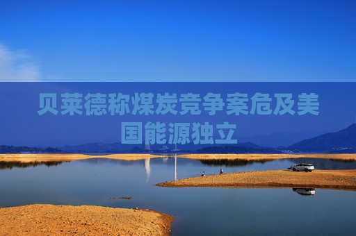 貝萊德稱煤炭競(jìng)爭(zhēng)案危及美國能源獨(dú)立