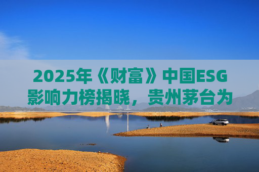 2025年《財(cái)富》中國(guó)ESG影響力榜揭曉，貴州茅臺(tái)為唯一上榜白酒類企業(yè)