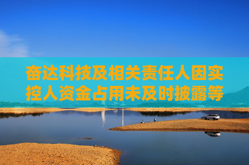 奮達(dá)科技及相關(guān)責(zé)任人因?qū)嵖厝速Y金占用未及時(shí)披露等問(wèn)題被警示