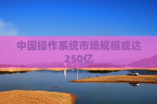 中國(guó)操作系統(tǒng)市場(chǎng)規(guī)?；蜻_(dá)250億