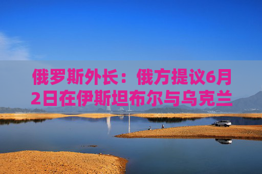 俄羅斯外長：俄方提議6月2日在伊斯坦布爾與烏克蘭舉行新會談