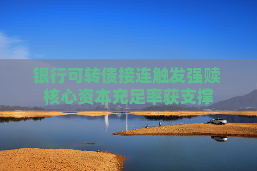 銀行可轉(zhuǎn)債接連觸發(fā)強(qiáng)贖 核心資本充足率獲支撐