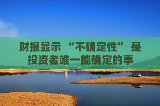 財報顯示 “不確定性” 是投資者唯一能確定的事  第1張