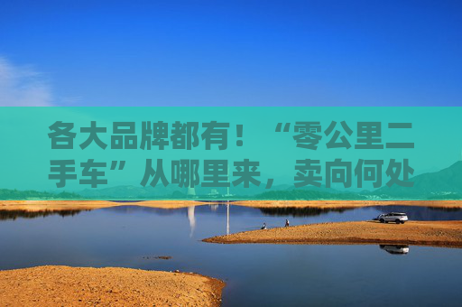 各大品牌都有！“零公里二手車”從哪里來，賣向何處，影響有多大？