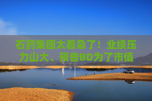 石藥集團(tuán)太著急了！業(yè)績(jī)壓力山大、預(yù)告BD為了市值管理？