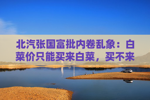北汽張國(guó)富批內(nèi)卷亂象：白菜價(jià)只能買來(lái)白菜，買不來(lái)金絲楠木