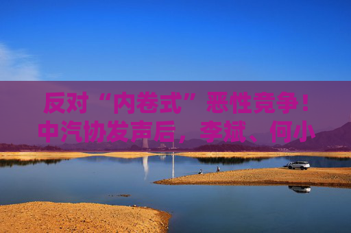 反對“內(nèi)卷式”惡性競爭！中汽協(xié)發(fā)聲后，李斌、何小鵬、閤先慶等車企大佬集體表態(tài)“價格戰(zhàn)”