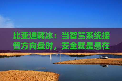 比亞迪韓冰：當(dāng)智駕系統(tǒng)接管方向盤時，安全就是懸在頭頂?shù)囊话褎?></a></div>
          </div>
          		         	          <div   id=