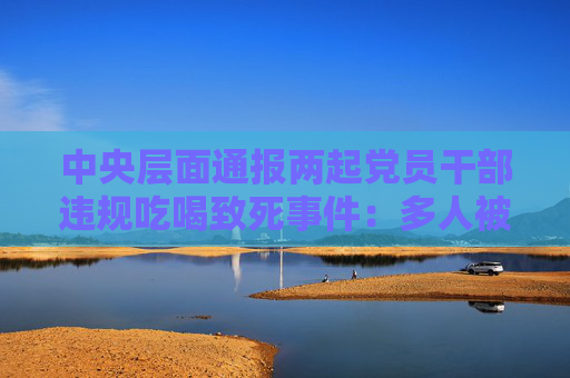 中央層面通報兩起黨員干部違規(guī)吃喝致死事件：多人被處理處分