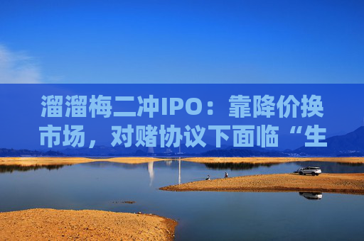 溜溜梅二沖IPO：靠降價換市場，對賭協(xié)議下面臨“生死大考”