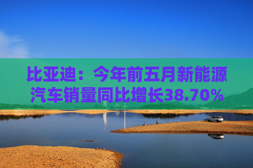 比亞迪：今年前五月新能源汽車銷量同比增長38.70%