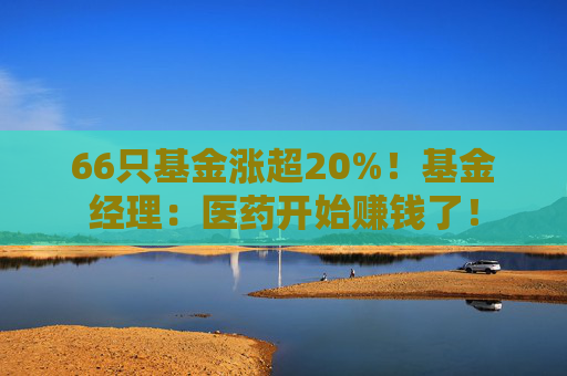 66只基金漲超20%！基金經(jīng)理：醫(yī)藥開始賺錢了！
