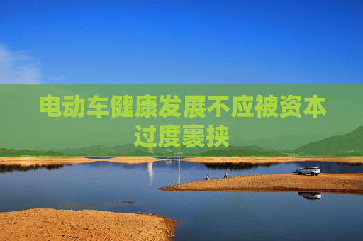 電動車健康發(fā)展不應(yīng)被資本過度裹挾