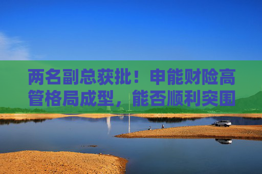 兩名副總獲批！申能財(cái)險(xiǎn)高管格局成型，能否順利突圍？