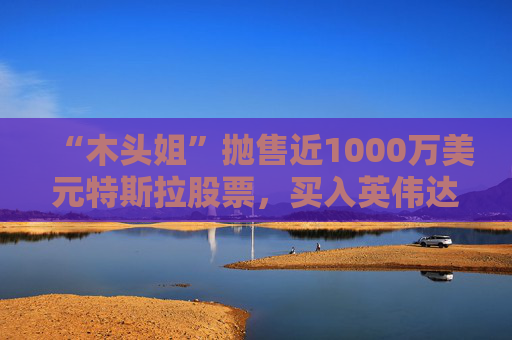 “木頭姐”拋售近1000萬美元特斯拉股票，買入英偉達和AMD