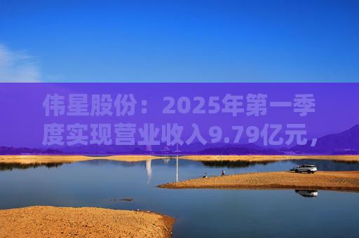 偉星股份：2025年第一季度實現(xiàn)營業(yè)收入9.79億元，同比增長22.32%