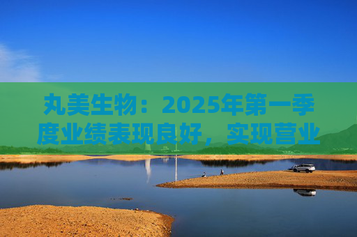 丸美生物：2025年第一季度業(yè)績表現(xiàn)良好，實現(xiàn)營業(yè)收入8.47億元