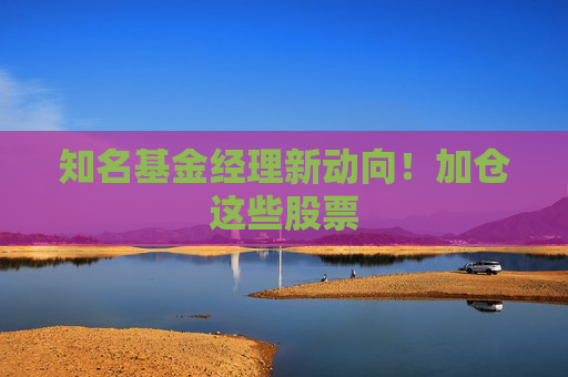 知名基金經(jīng)理新動(dòng)向！加倉(cāng)這些股票  第1張