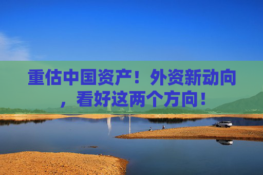 重估中國資產(chǎn)！外資新動向，看好這兩個方向！