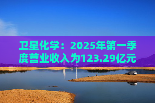 衛(wèi)星化學(xué)：2025年第一季度營業(yè)收入為123.29億元，同比增長40.03%