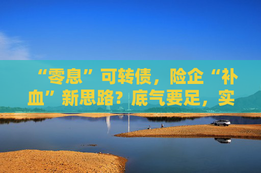 “零息”可轉(zhuǎn)債，險(xiǎn)企“補(bǔ)血”新思路？底氣要足，實(shí)力要硬！