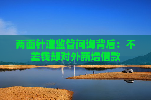 兩面針遭監(jiān)管問(wèn)詢背后：不差錢卻對(duì)外新增借款