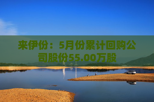 來伊份：5月份累計(jì)回購公司股份55.00萬股