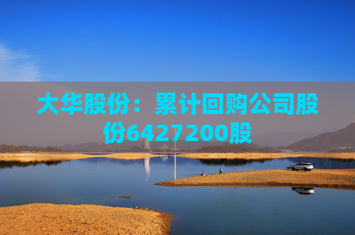 大華股份：累計(jì)回購(gòu)公司股份6427200股