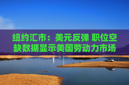 紐約匯市：美元反彈 職位空缺數(shù)據(jù)顯示美國勞動力市場依然穩(wěn)健