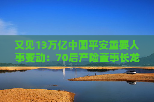 又見13萬(wàn)億中國(guó)平安重要人事變動(dòng)：70后產(chǎn)險(xiǎn)董事長(zhǎng)龍泉罕見出任集團(tuán)黨委委員，壽險(xiǎn)或外引一名CTO