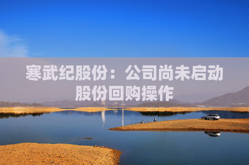 寒武紀(jì)股份：公司尚未啟動(dòng)股份回購(gòu)操作